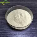 High-Quality Hemp Seed Extract
