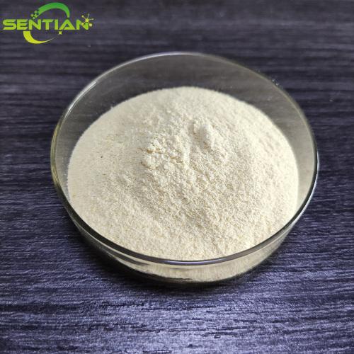 High-Quality Hemp Seed Extract