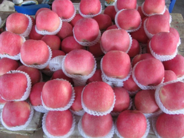 2014 Hot Sale Top Quality FUJI Apples