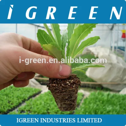 Commercial NFT hydroponics system