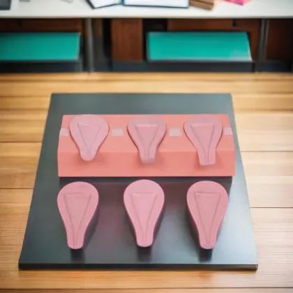 DARHMMY Advanced Medical Abortion Simulation Uterus Model for Maternity Care