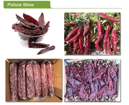 Factory Supply Farmer Prices Fresh Taste Paprika