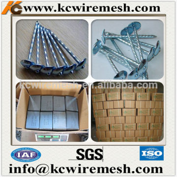 Galvanized umbrella head roofing nails with twisted shank.