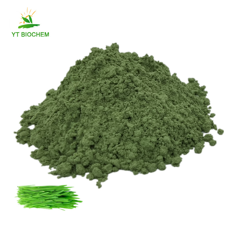 wheat grass powder