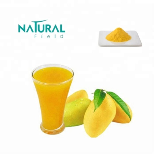 Sport Nutrition Weight loss African Mango extract Fruit powder Supplier
