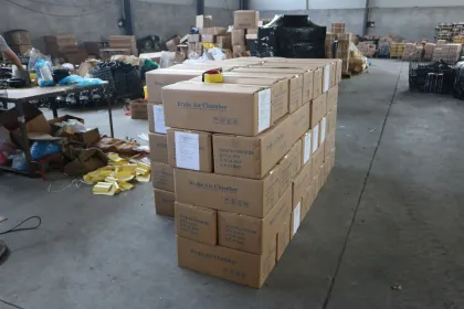 Type 24 Sealed Black Electrophoretic Paint Truck Air Spring Brake Chamber