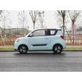 Chinese New smart model EV and multicolor small electric car