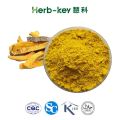 Cortex Phellodendri Extract Powder