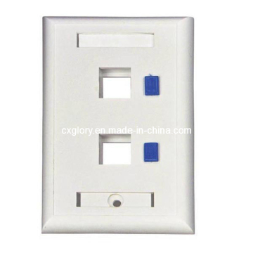 2 Port USA Type Long Faceplate