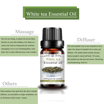 Pure Natural White Tea Essential Oil White Tea Oil for Skincare Massage