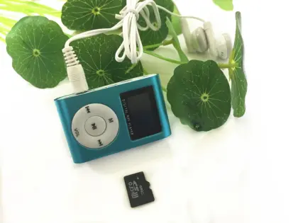LCD Screen MP3 Player with clip /FM Sport MP3/OEM Logo