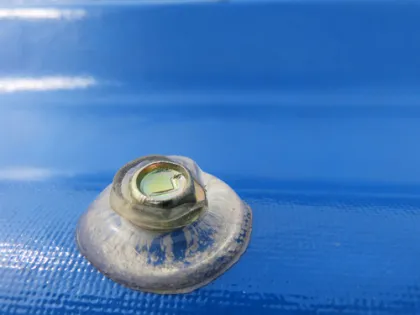 Mgo Roofing Sheets Instead Of  Asphalt Shingles