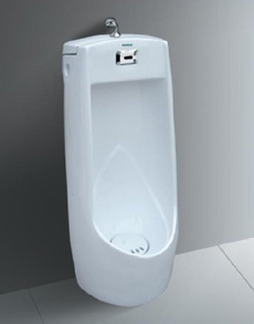 Floor standing urinal