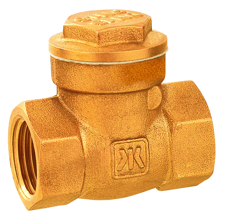 404 brass check valve