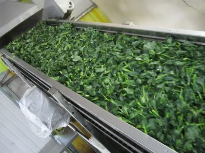 New Crop Iqf Fresh Frozen Vegetables , Frozen Rape Flower For Restaurants