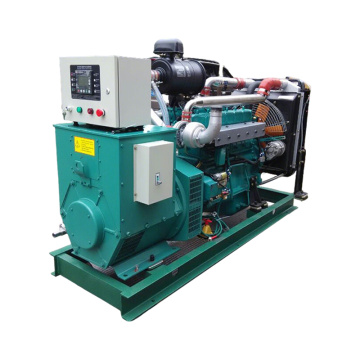 Gerador de energia residencial Gerador diesel tipo aberto