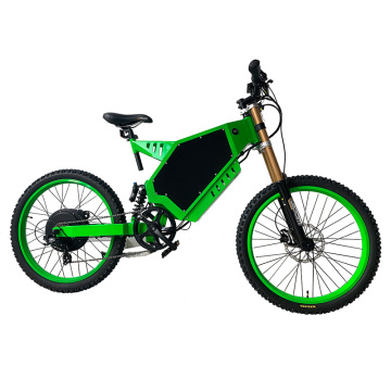 Custom Lithium Battery Power Electric Off-road Bicycle