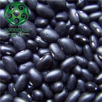 Dry Black Beans,Green Kernels Inside,2014 crop
