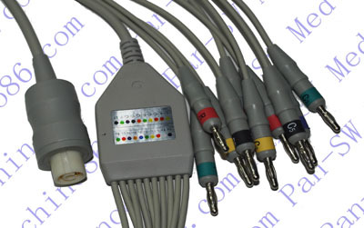 NEC integrated 10-lead ECG cable with leadwire