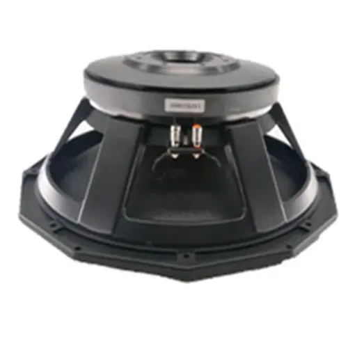 18-inch high-power woofer suitable for outdoor entertainment