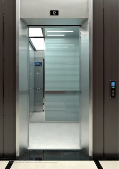 High-speed Passenger Elevator Lift