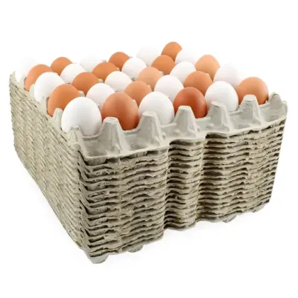 Green Paper Egg Tray for Safe Egg Storage