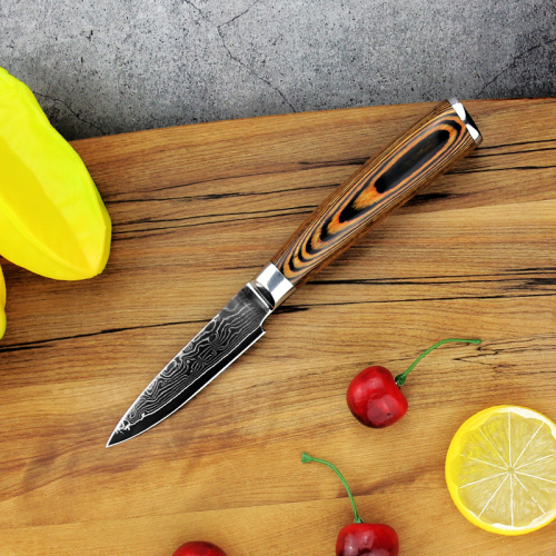 Cuchillo de verduras y frutas de acero de Damasco japonés 3.5 pulgadas