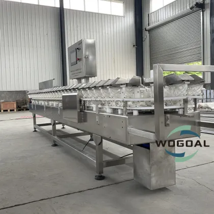 Fruit and Vegetable Weight Sorting Grading Machine