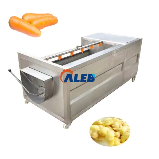 Industrial Ozone Air Powder Bubble Washing Machine for Ginger Peeling and Cleaning