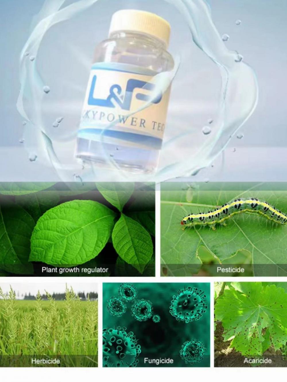 Silicone spreading adjuvants for oil based agrochemicals