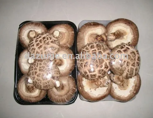 Fresh Lentinus Edodes