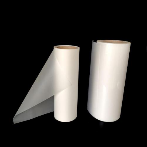 75Micron High Gray Pet Thermal Filmal Film