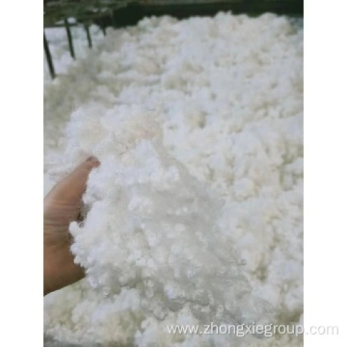 HC Hollow Poliester Fibre for Pillow