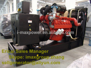 Natural gas generator set