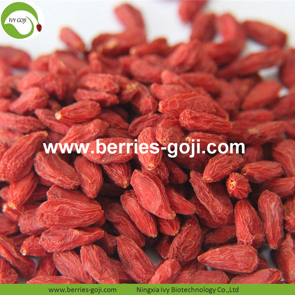 Conventional Goji Berries