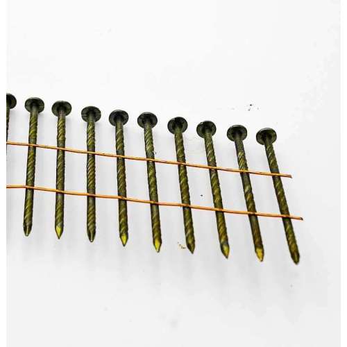 Smooth Type Coil Nails Screw type Coil Nails Supplier