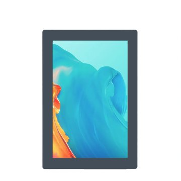 10.1 Inch MIPI LCD 800x1280 Touch CTP for Medical Tablets