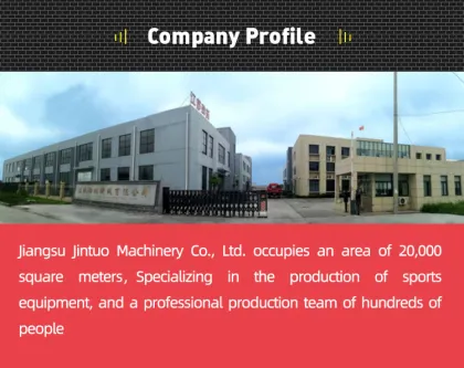 China manufacturer pull up trainer wall mounted pull up bar wall mounted pull-up bar