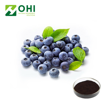 European Bilberries extract powder