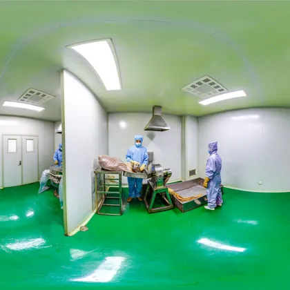 Factory price Chinese ivy extract powder ivy extract