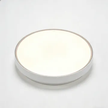 Minimalist ceiling light LED