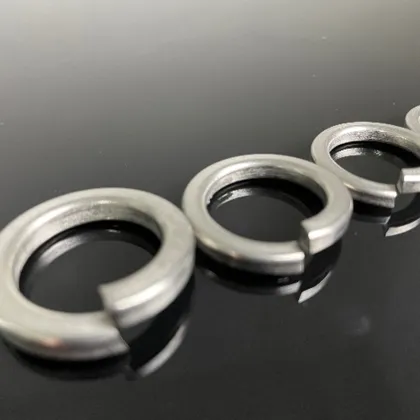 Stainless steel spring washers