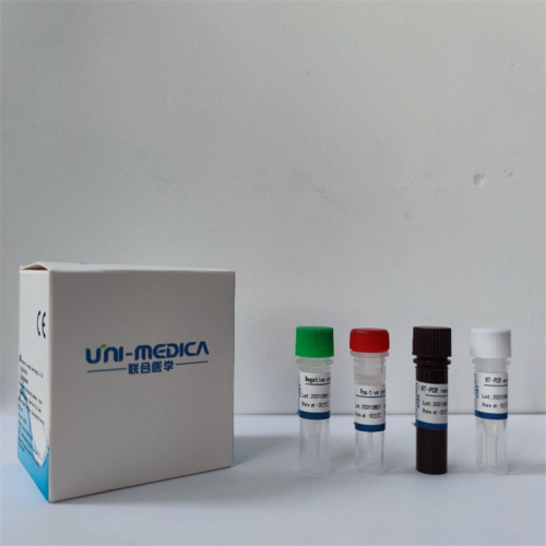 Delta mutation high specificity detection kit