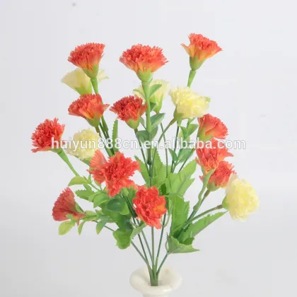 Wholesale high quality fresh cut flowers Carnation flowers for wedding