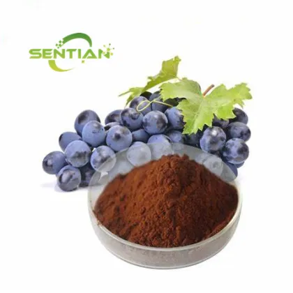 Natural Grape Seed Extract powder