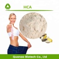 Gewichtsverlust Garcinia Cambogia Obst Extrakt Pulver HCA