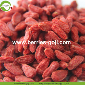 Verlieren Sie Gewicht-Frucht-Nahrungs-natürliche Tibet Goji Beeren