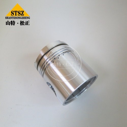 Engine Parts Piston 3048650