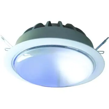 Halogen Downlights