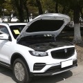 Geely Farizon FX 2021 1.8T Smart Connected